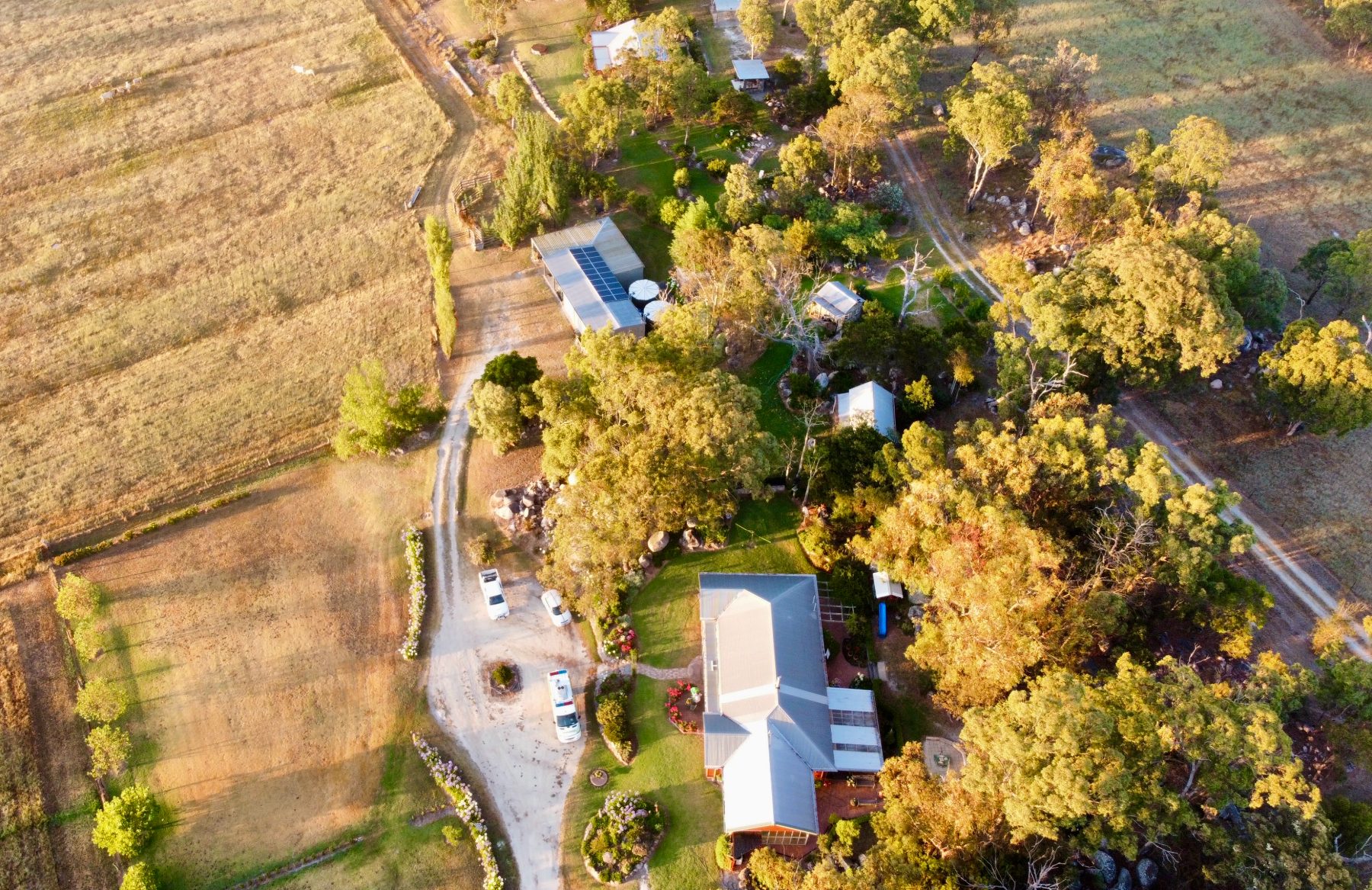 The homestead from the air, ringed by gums and paddocks