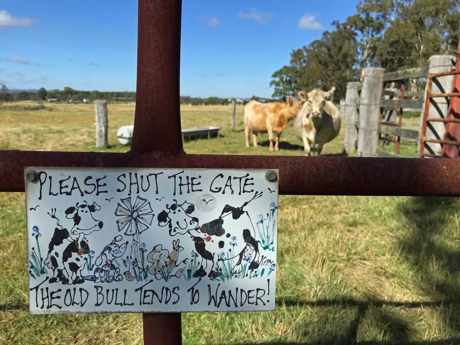 A hand-painted gate sign: please shut the gate, the old bull tends to wander