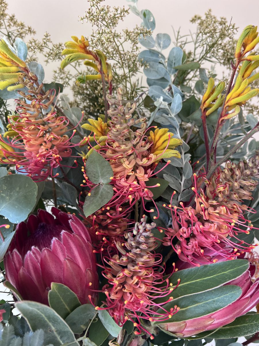 Grevillea, kangaroo paw and protea in a freshly picked bunch