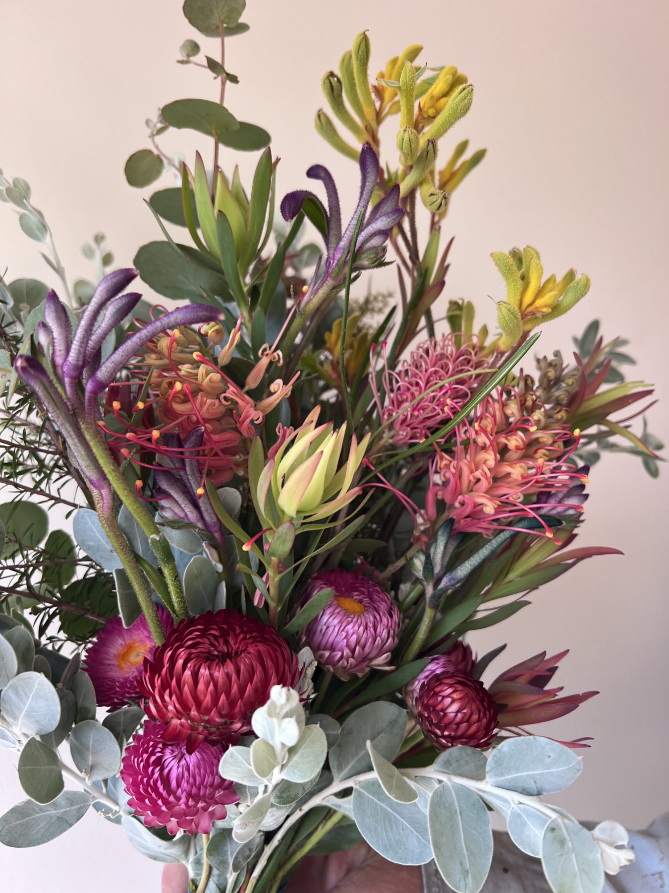 A hand-tied bunch of kangaroo paw, grevillea, leucadendron and everlasting daisies grown at Yarrabee