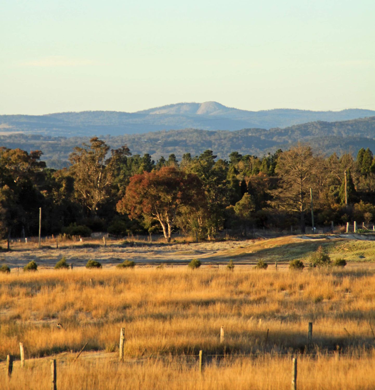 Looking out over frosted paddocks to the ranges beyond