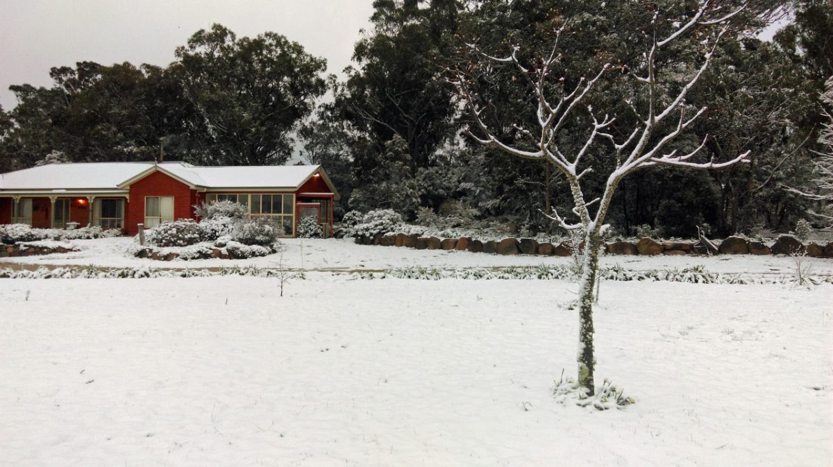 Snow across the paddock and homestead garden