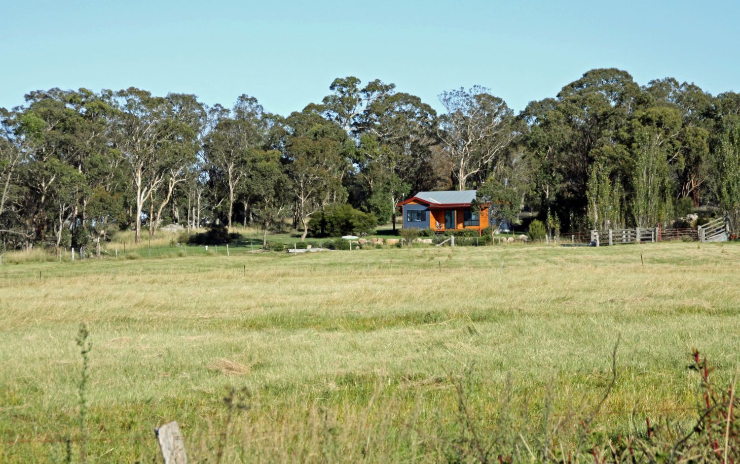 The cottage from across the paddock, tucked into the gum trees